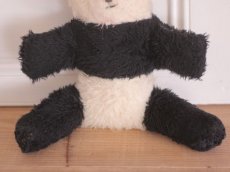 画像5: RARE!! Wendy Boston Panda/British (5)