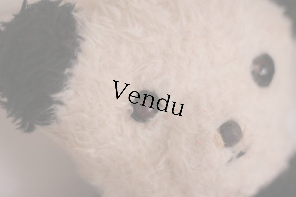 画像2: RARE!! Wendy Boston Panda/British (2)