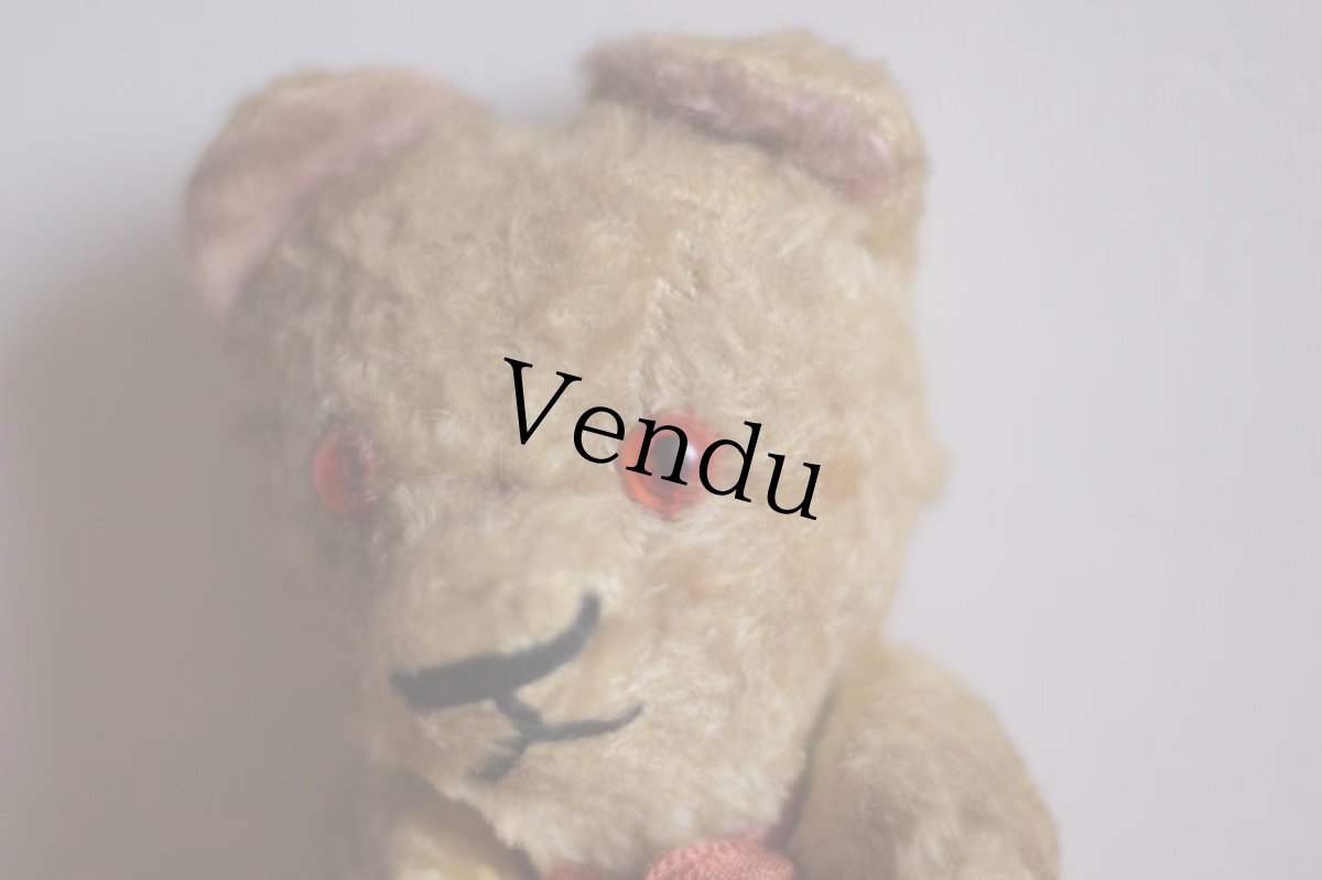 画像3: Le Jouet Paris Massy/J.P.M. Bear/France (3)