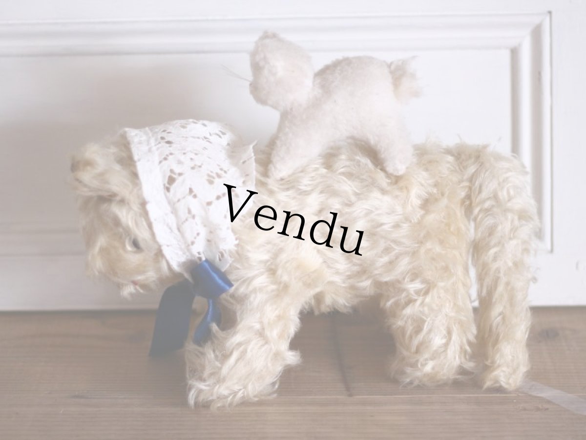 画像5: Antique White Cat/France (5)