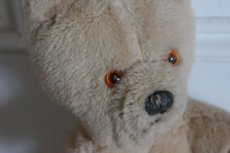 画像3: Wendy Boston Bear/British (3)