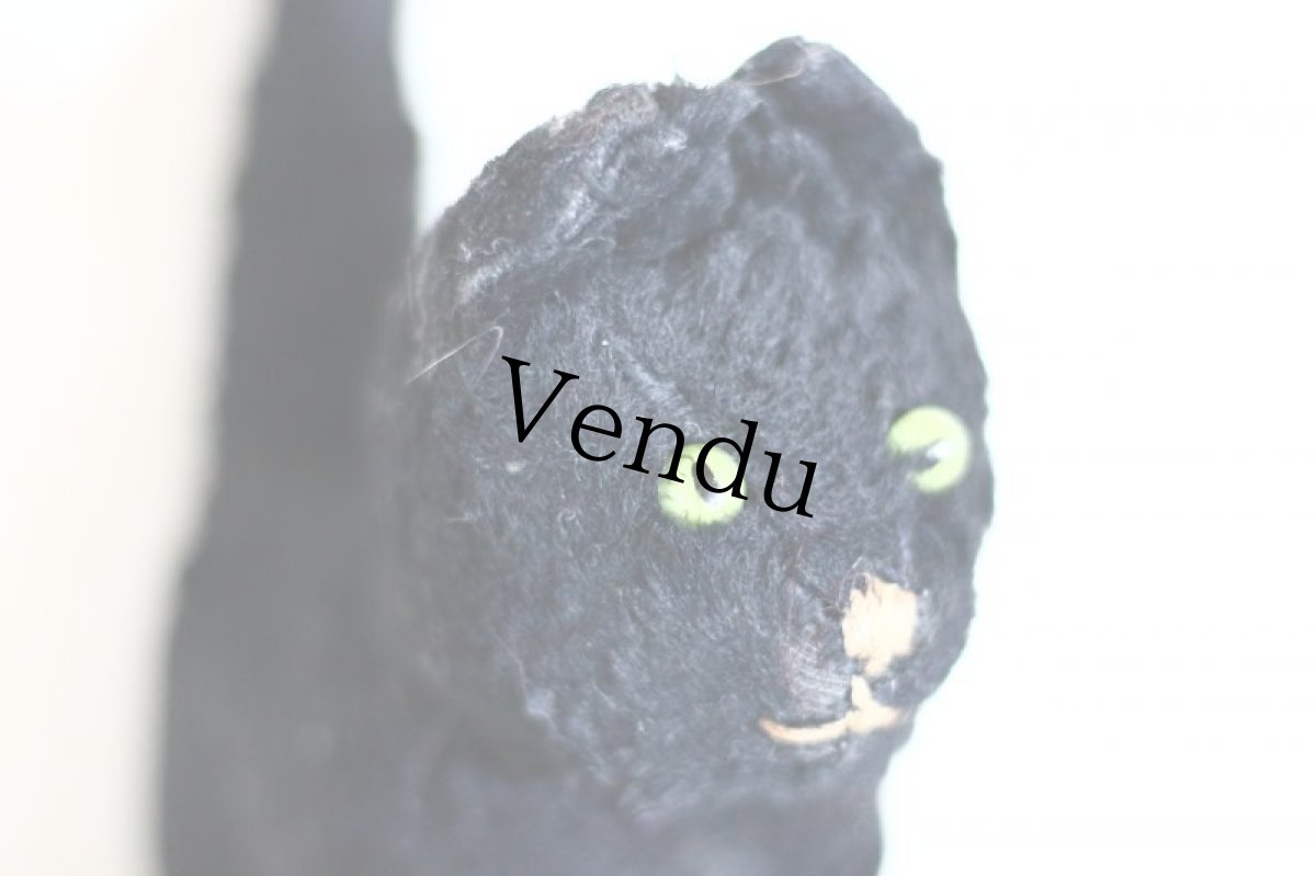 画像7: Antique Cat Black / J.P.M.社 / France (7)