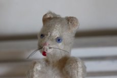 画像3: Antique Cat / J.P.M.社 / France (3)