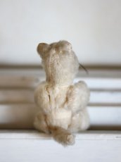 画像8: Antique Cat / J.P.M.社 / France (8)