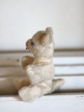 画像7: Antique Cat / J.P.M.社 / France (7)