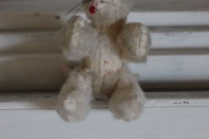 画像5: Antique Cat / J.P.M.社 / France (5)