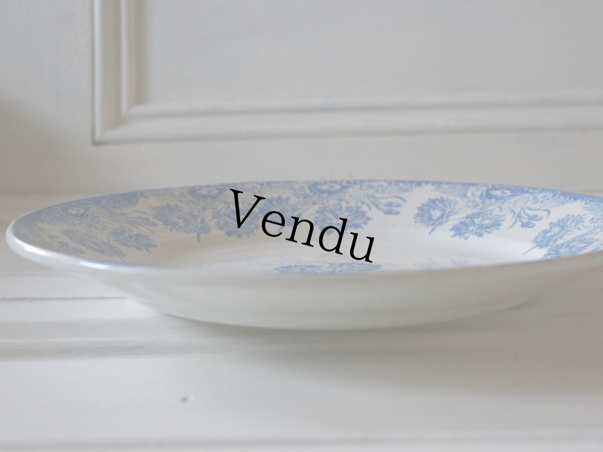 画像10: ST AMAND AMANDINOISE TERRE DE FER/カーネーション/France (10)