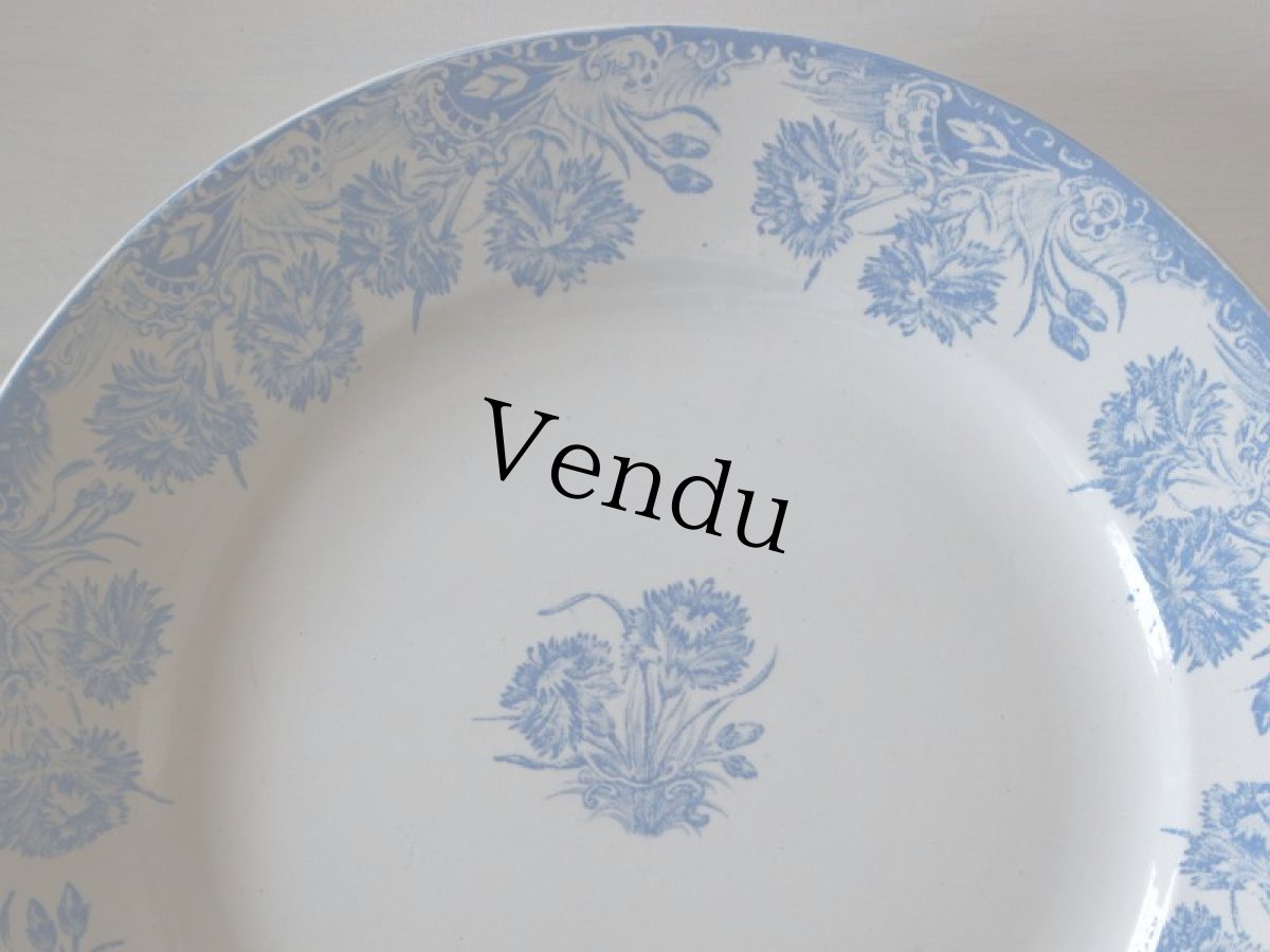 画像3: ST AMAND AMANDINOISE TERRE DE FER/カーネーション/France (3)