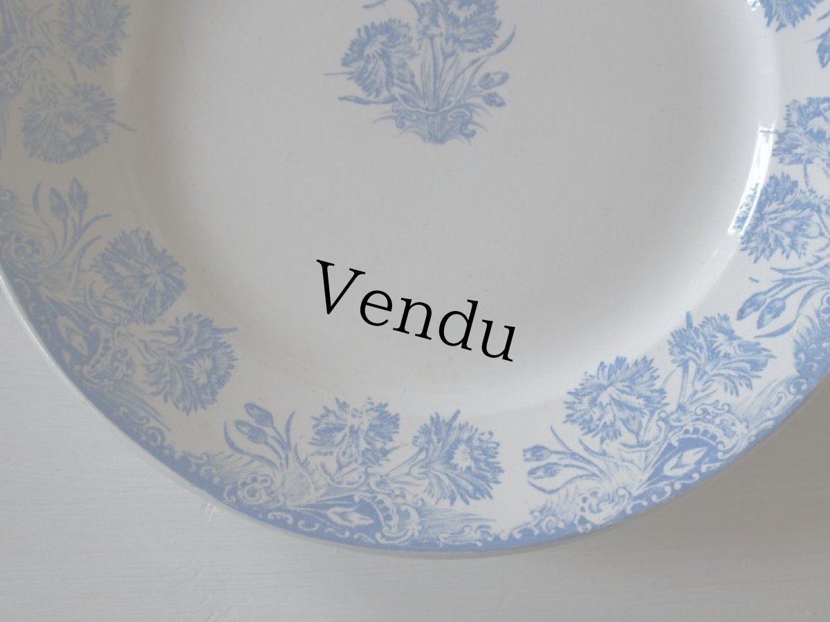 画像5: ST AMAND AMANDINOISE TERRE DE FER/カーネーション/France (5)