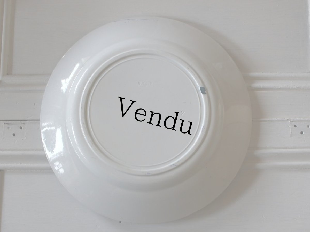 画像9: ST AMAND AMANDINOISE TERRE DE FER/カーネーション/France (9)