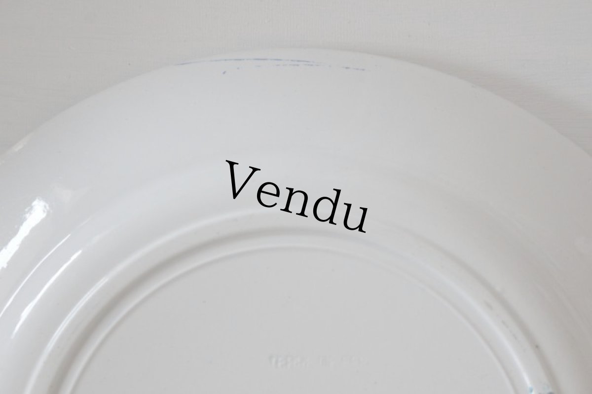 画像8: ST AMAND AMANDINOISE TERRE DE FER/カーネーション/France (8)