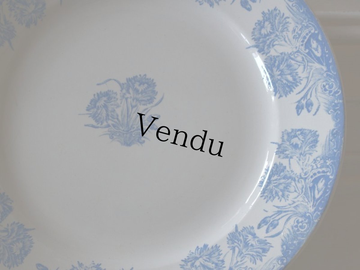 画像4: ST AMAND AMANDINOISE TERRE DE FER/カーネーション/France (4)