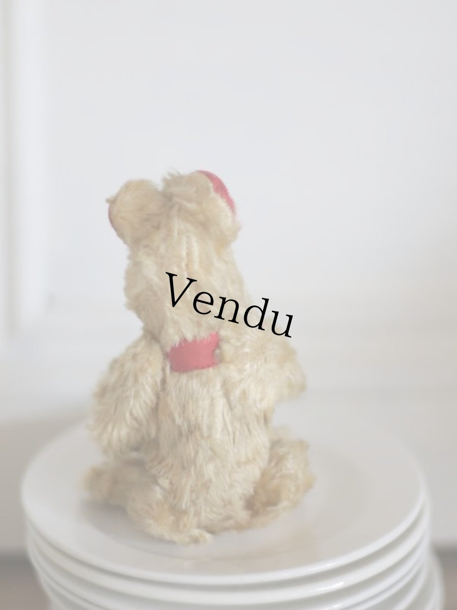 画像4: RARE!!!Le Jouet Paris Massy SS /4.5in /J.P.M. Bear/France (4)