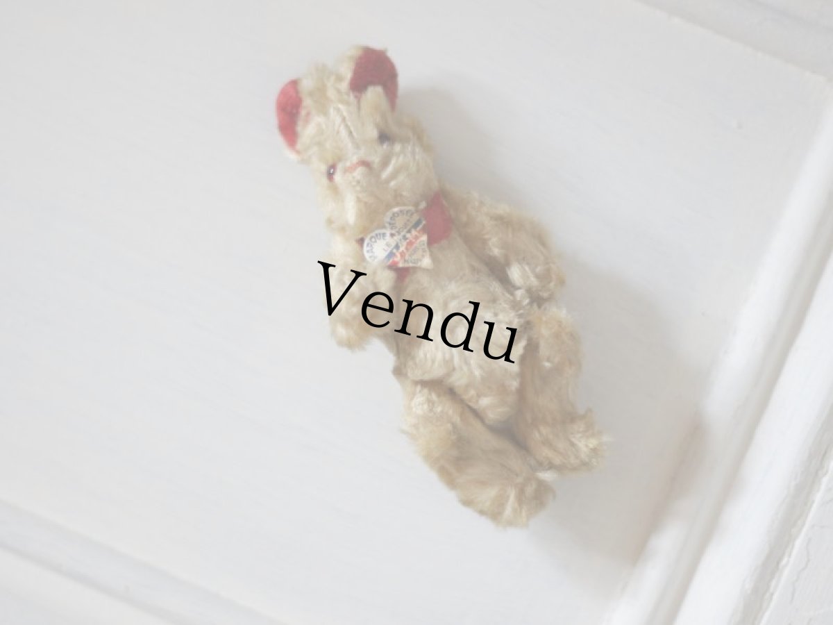 画像5: RARE!!!Le Jouet Paris Massy SS /4.5in /J.P.M. Bear/France (5)