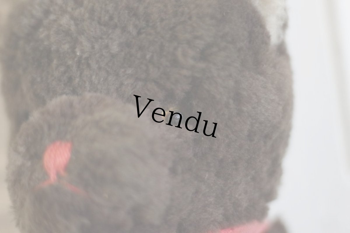 画像6: Dark Brown Bear / J.P.M.社 / France (6)