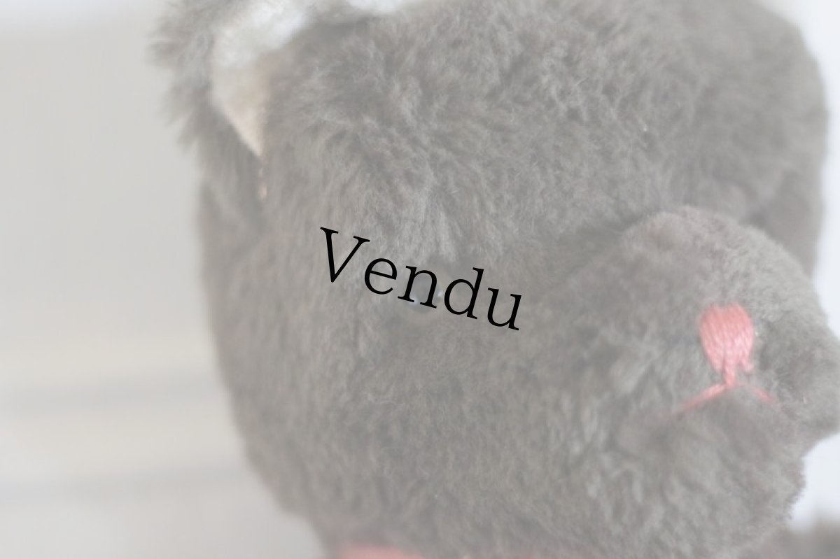 画像5: Dark Brown Bear / J.P.M.社 / France (5)