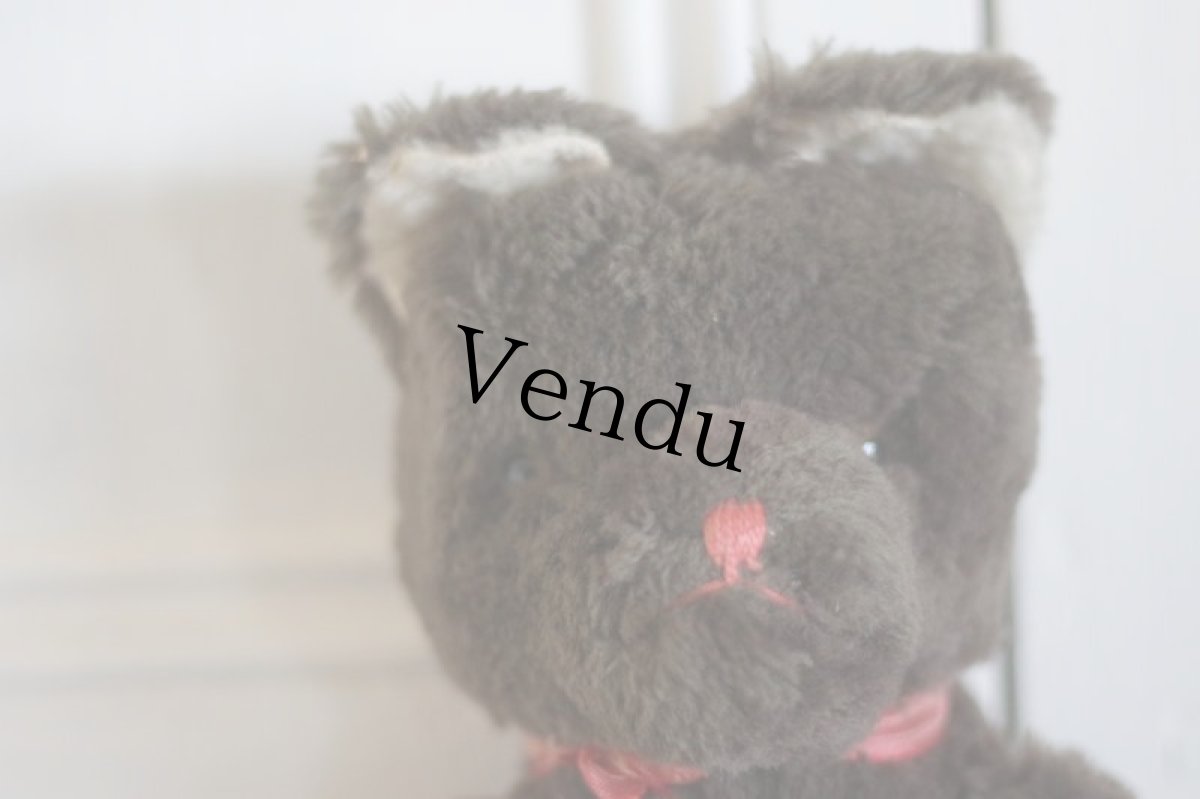 画像2: Dark Brown Bear / J.P.M.社 / France (2)