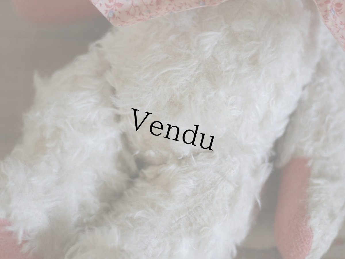 画像9: White&Pink Bear/ France (9)