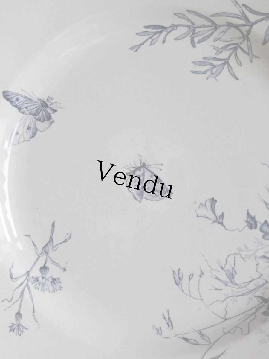 画像2: SARREGUEMINES CARMEN GRAND PLAT /butterfly/France (2)