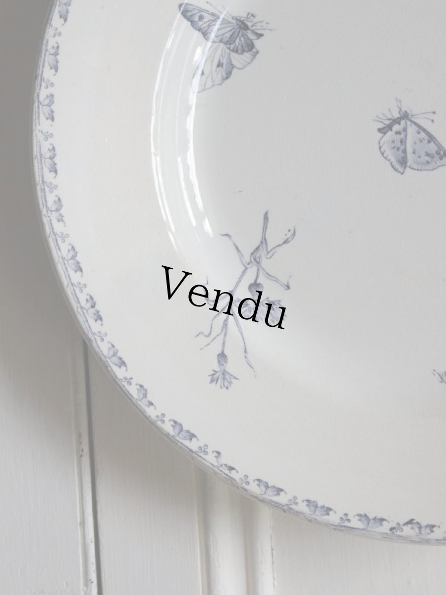 画像6: SARREGUEMINES CARMEN GRAND PLAT /butterfly/France (6)