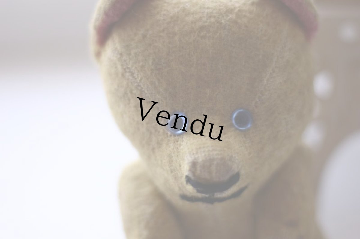 画像9: Le Jouet Paris Massy/J.P.M. Bear/France (9)