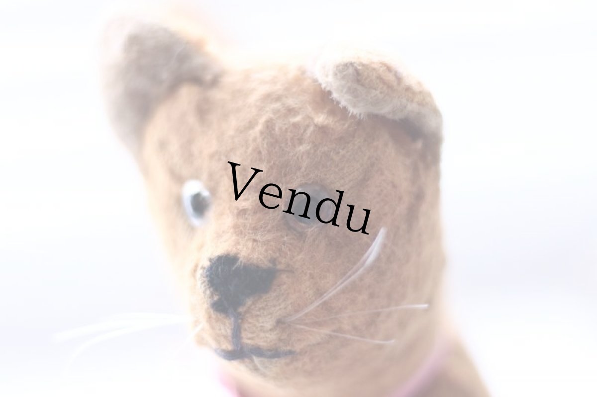 画像7: French Cat /France (7)