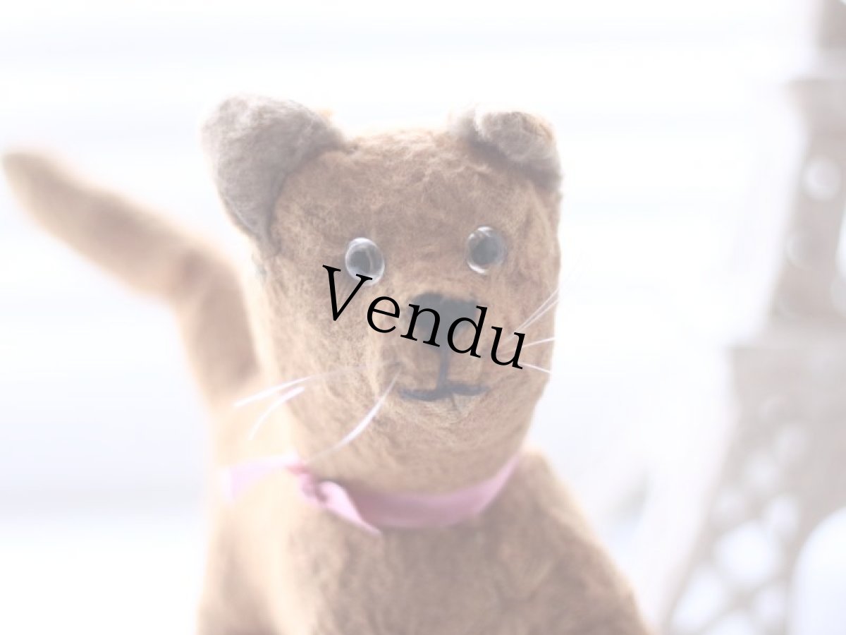 画像2: French Cat /France (2)