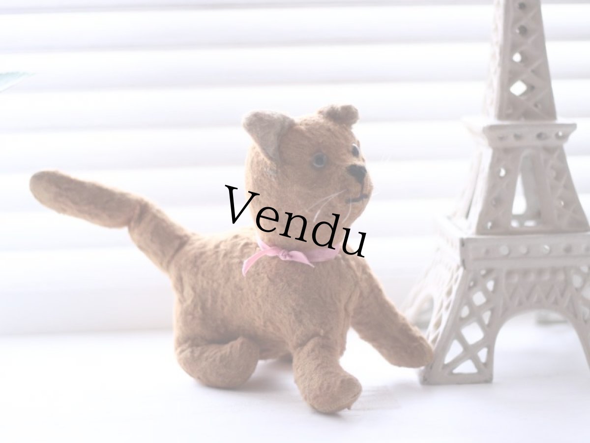 画像3: French Cat /France (3)