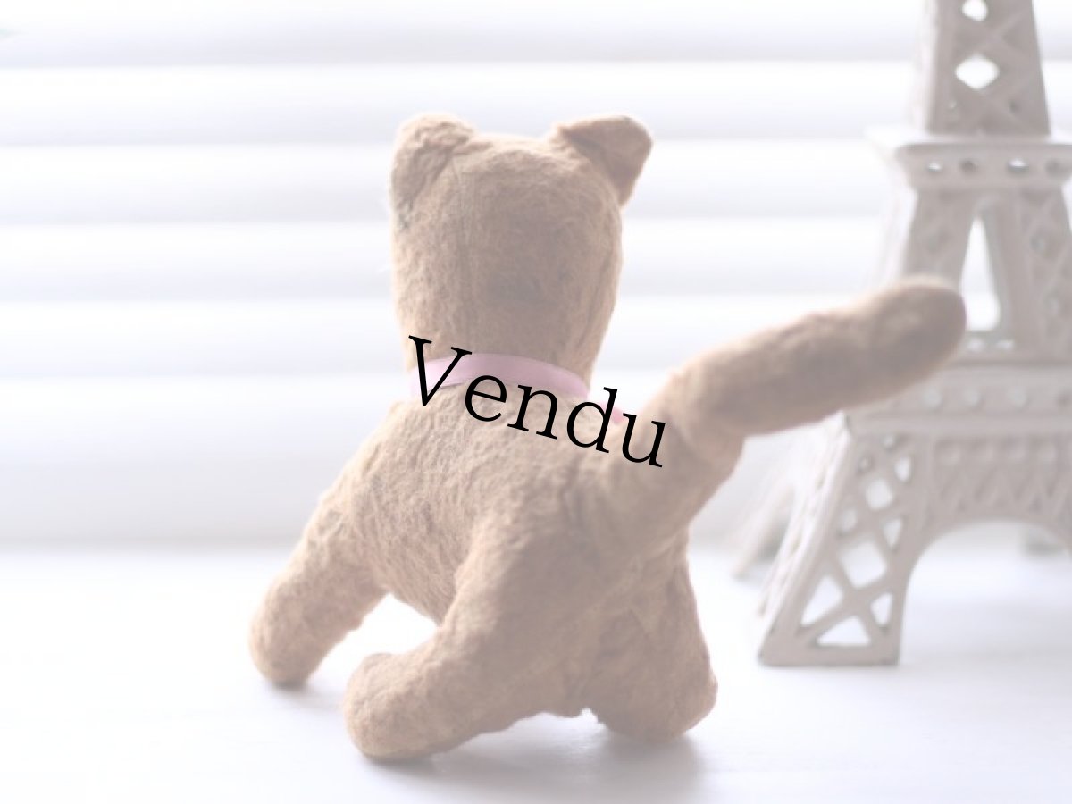 画像5: French Cat /France (5)