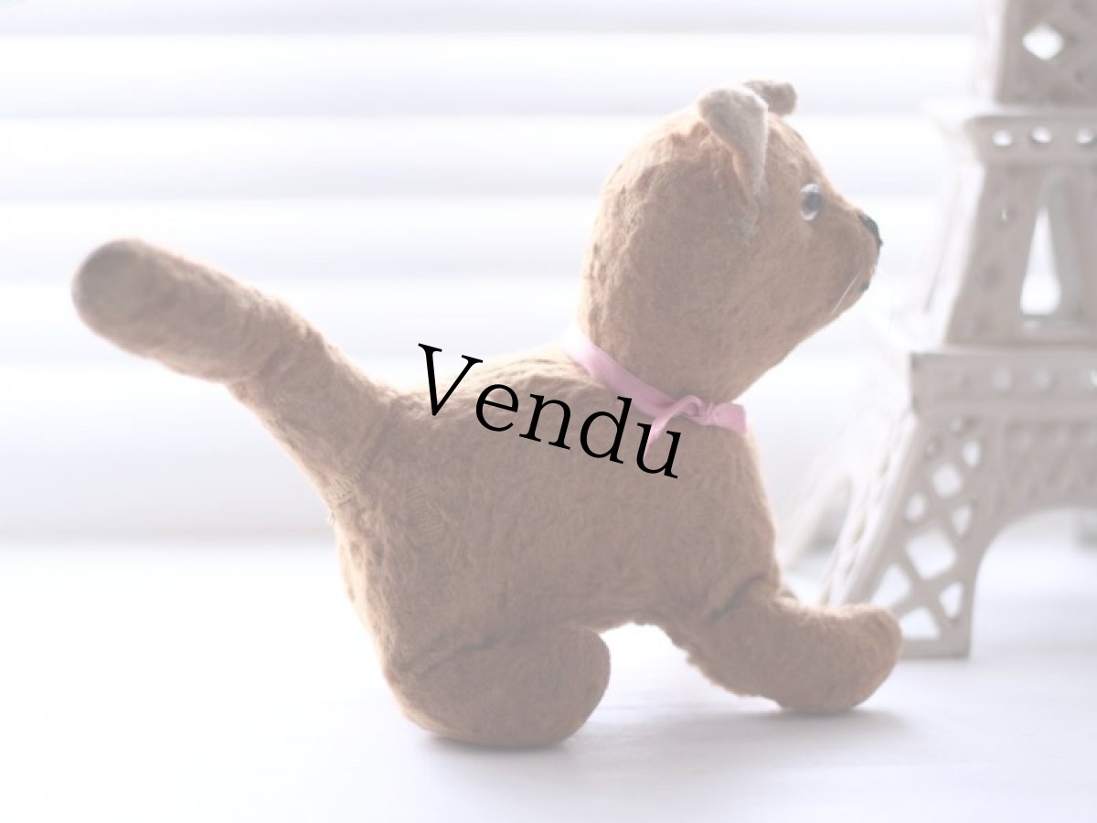 画像6: French Cat /France (6)