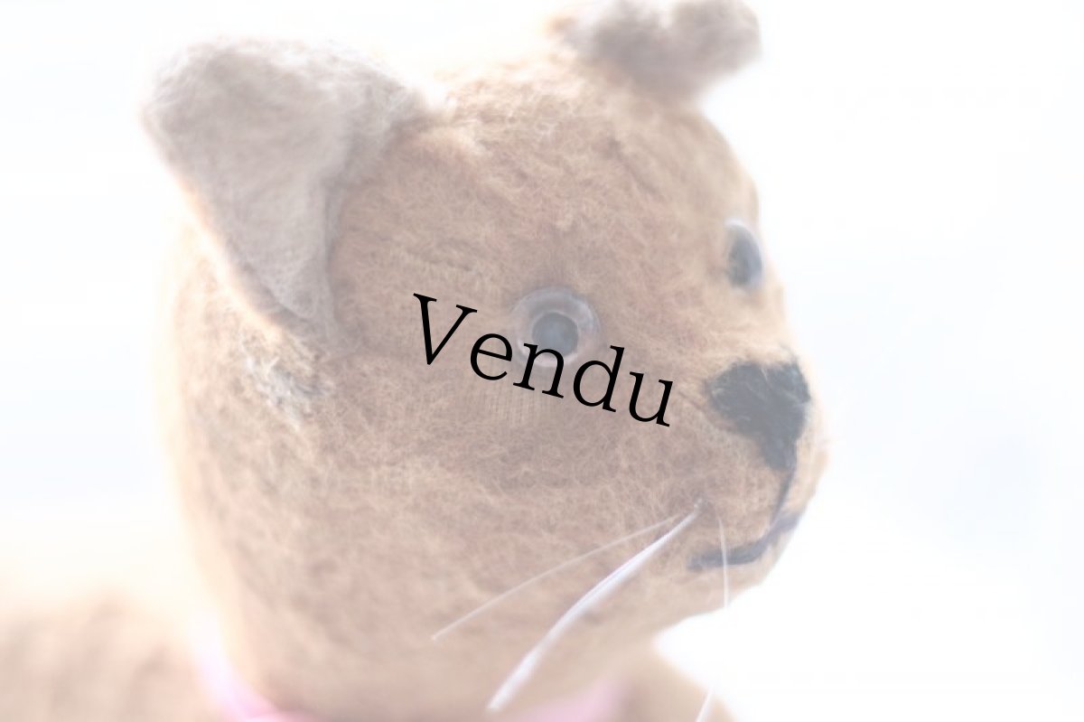 画像8: French Cat /France (8)