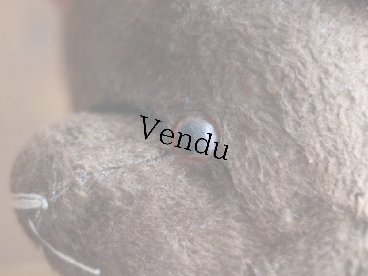 画像3: Red ear !! Le Jouet Paris Massy 15.5in /J.P.M. Bear/France (3)