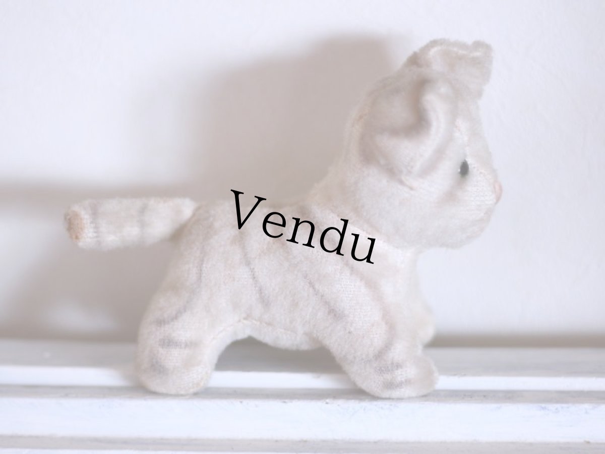 画像7: cute french cat /France (7)