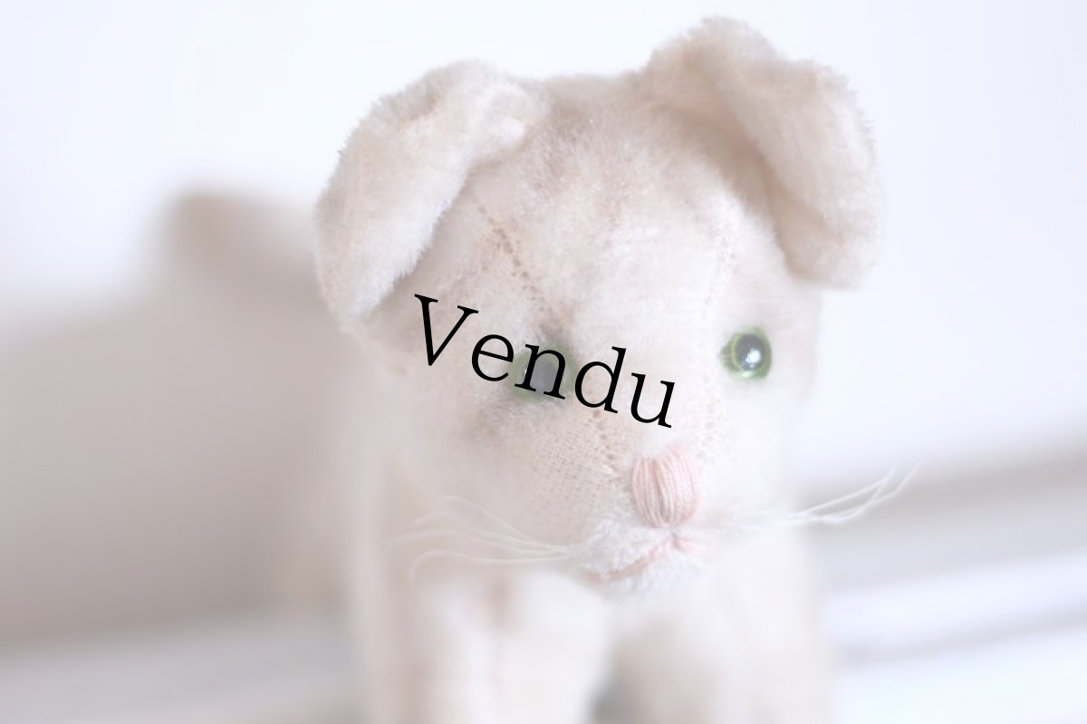 画像4: cute french cat /France (4)