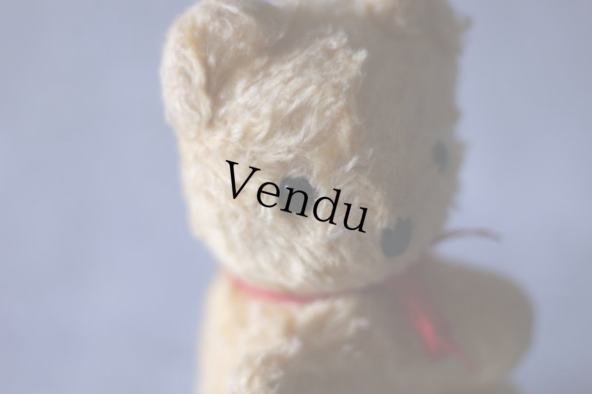 画像7: cute antique bear  (7)