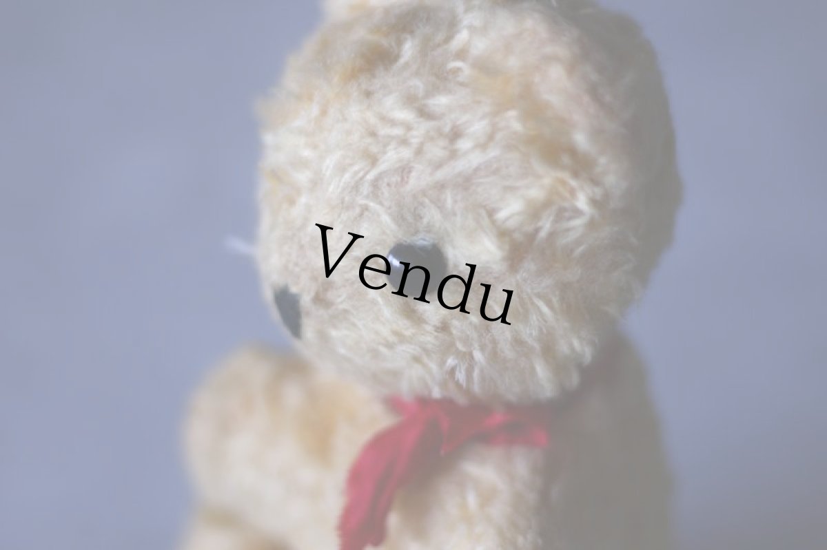 画像8: cute antique bear  (8)