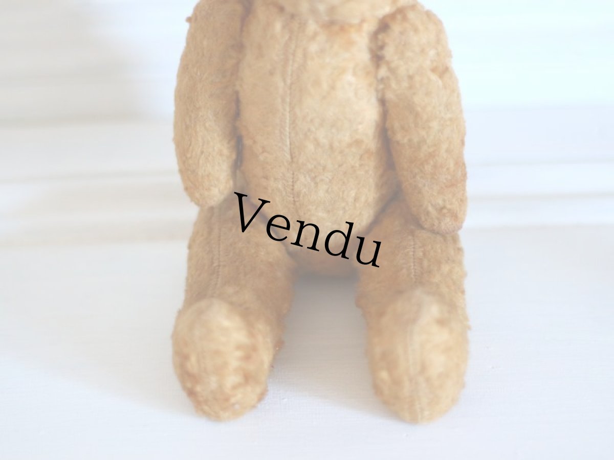 画像3: Le Jouet Paris Massy/J.P.M. Bear/size M/France (3)