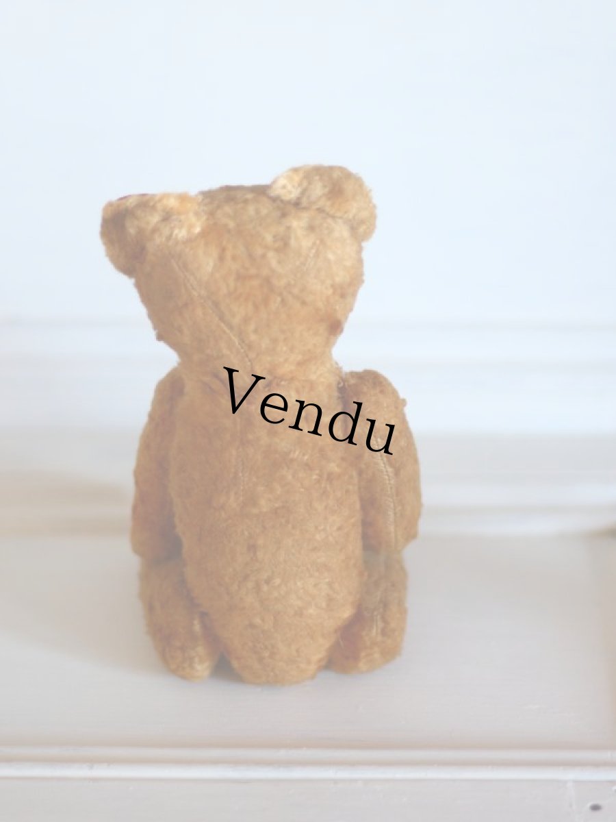 画像6: Le Jouet Paris Massy/J.P.M. Bear/size M/France (6)