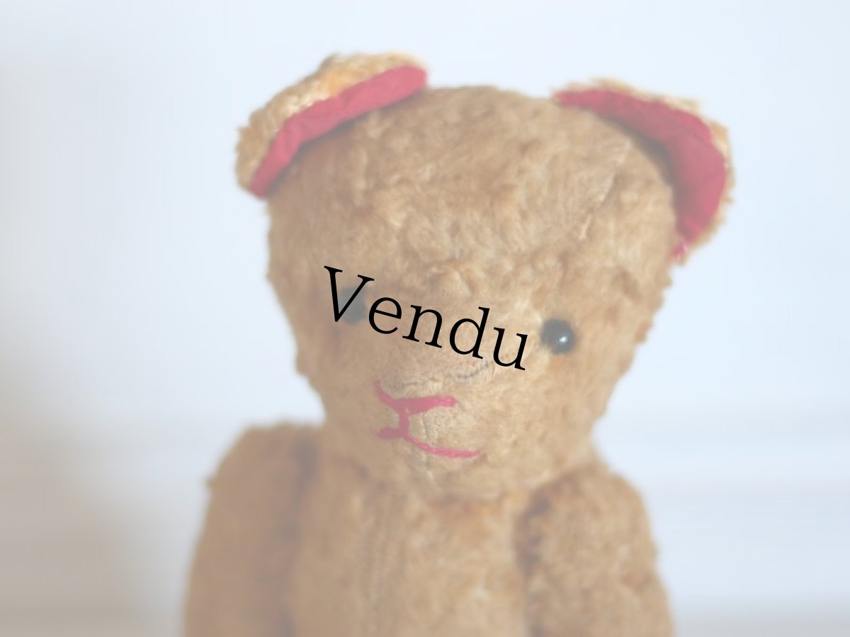 画像2: Le Jouet Paris Massy/J.P.M. Bear/size M/France (2)