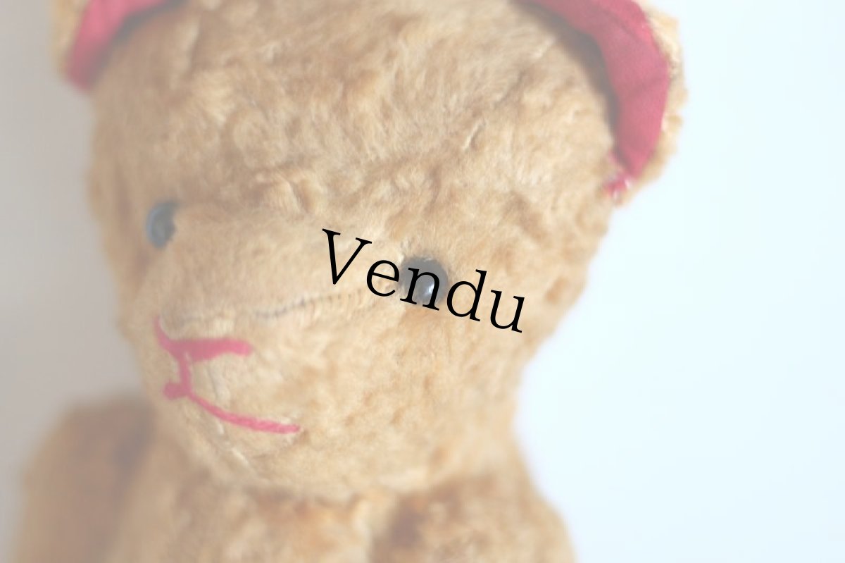 画像10: Le Jouet Paris Massy/J.P.M. Bear/size M/France (10)