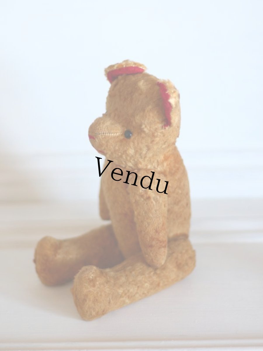 画像5: Le Jouet Paris Massy/J.P.M. Bear/size M/France (5)