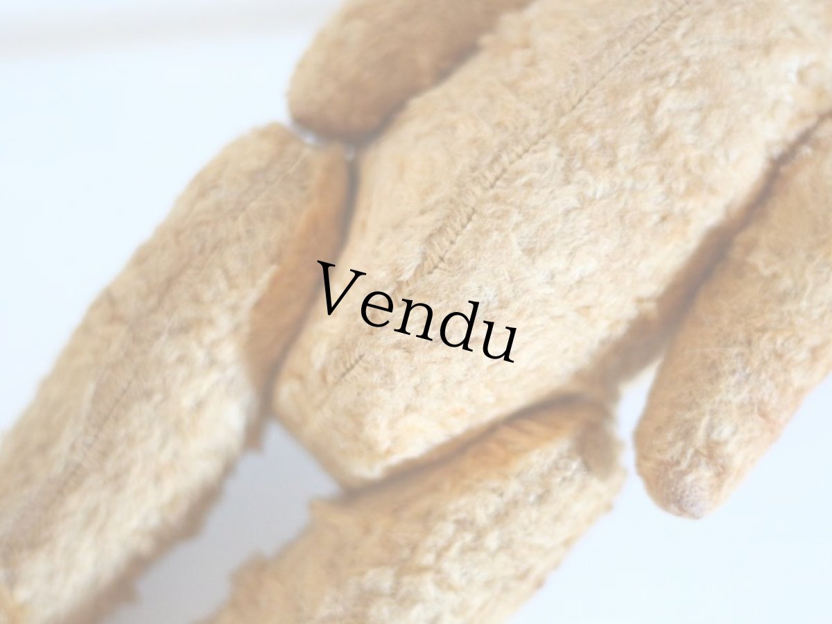 画像7: Le Jouet Paris Massy/J.P.M. Bear/size M/France (7)