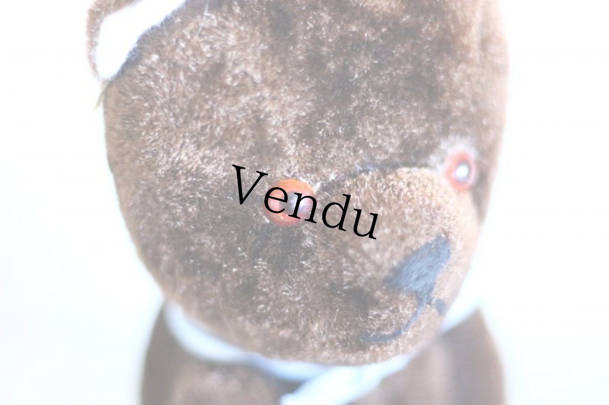 画像5: Le Jouet Paris Massy/J.P.M. Bear/size M/France (5)