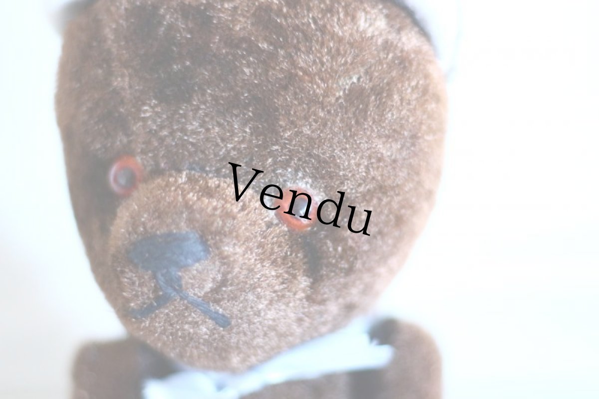 画像4: Le Jouet Paris Massy/J.P.M. Bear/size M/France (4)