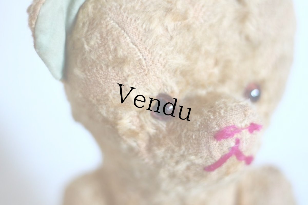 画像4: Le Jouet Paris Massy/J.P.M. Bear/size M/France (4)