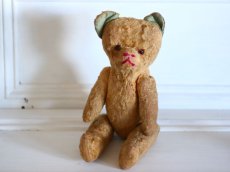 画像1: Le Jouet Paris Massy/J.P.M. Bear/size M/France (1)