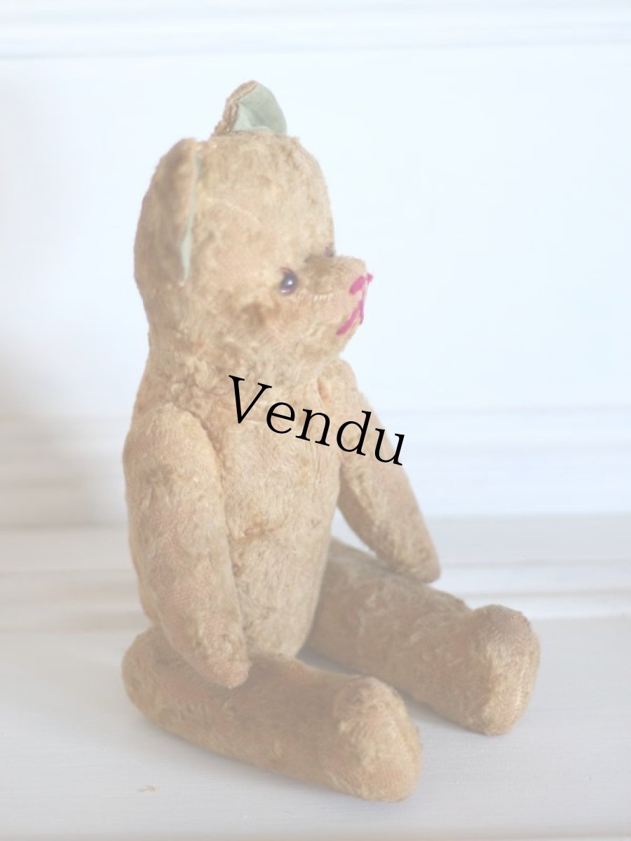 画像6: Le Jouet Paris Massy/J.P.M. Bear/size M/France (6)