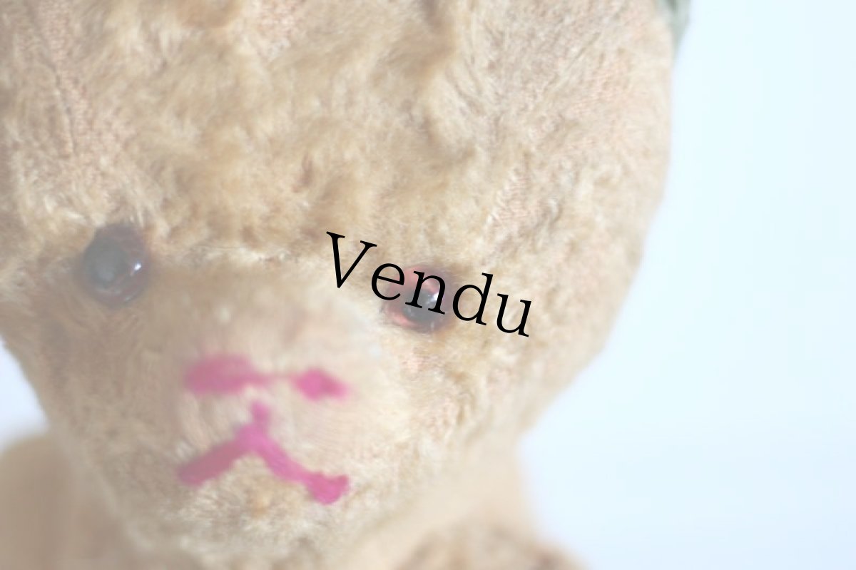 画像3: Le Jouet Paris Massy/J.P.M. Bear/size M/France (3)