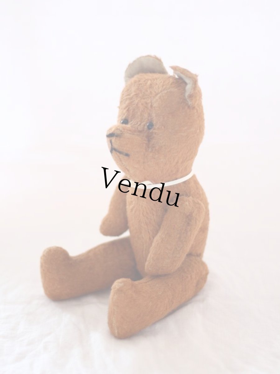 画像6: Le Jouet Paris Massy/J.P.M. Bear/size M/France (6)