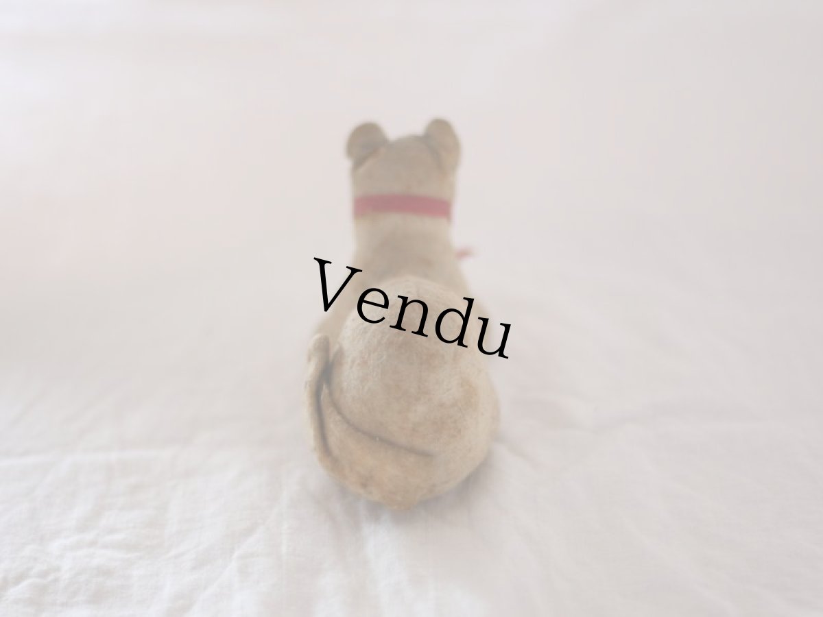 画像4: RARE!! Antique Cat /Berg (4)